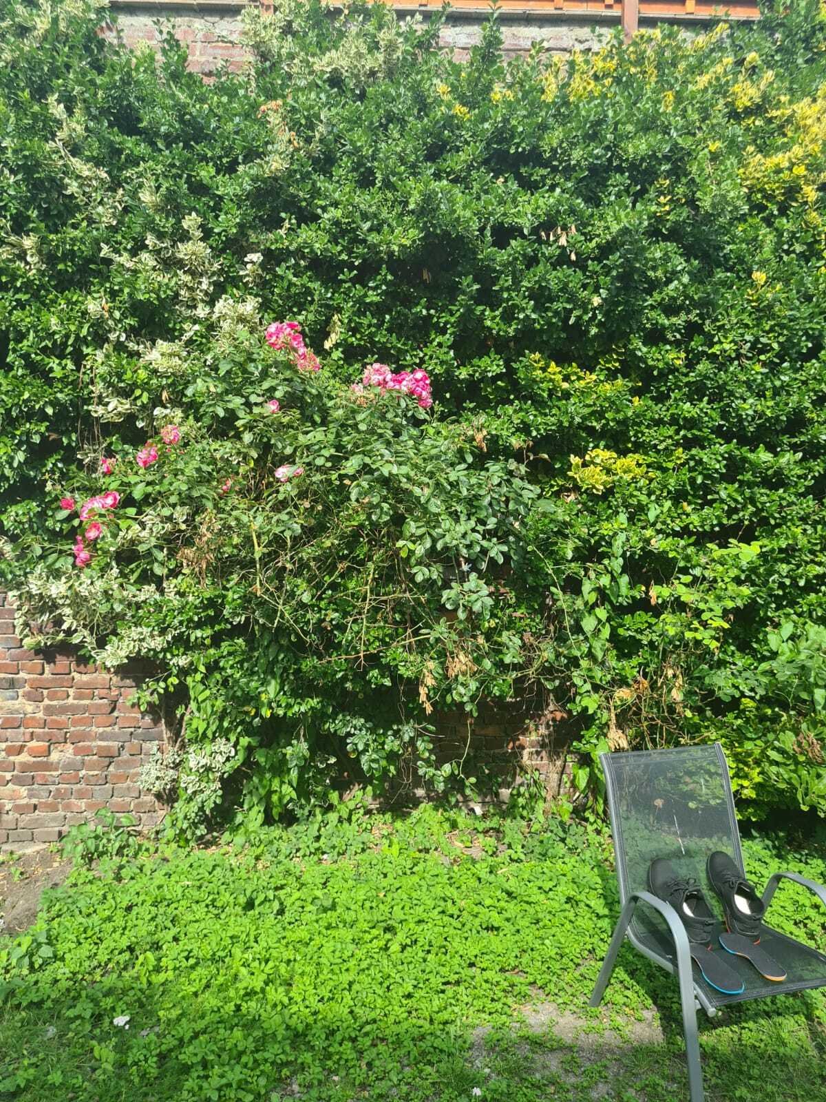 Mehrfamilienhaus mit Anbau in Datteln-Ahsen