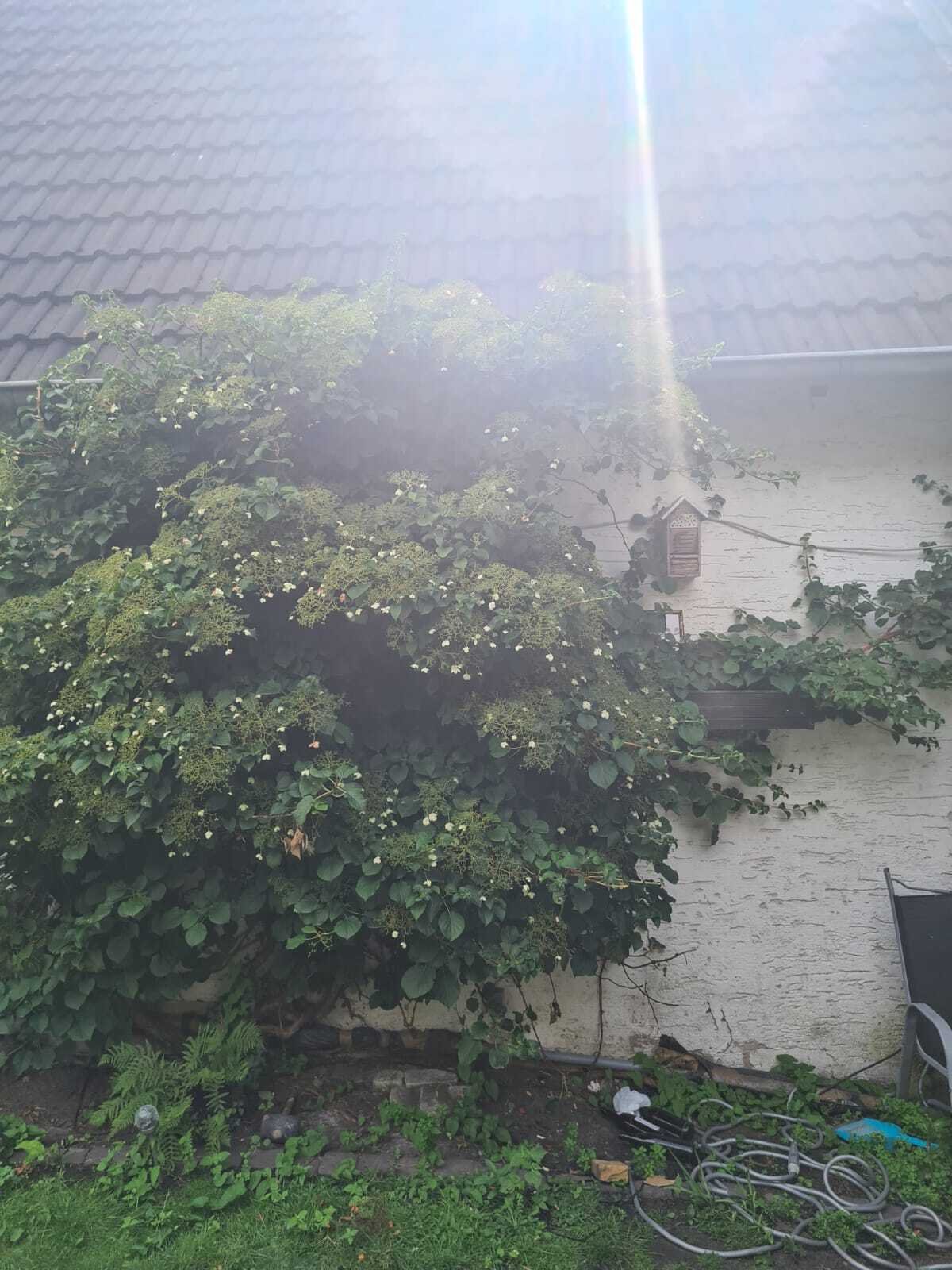 Mehrfamilienhaus mit Anbau in Datteln-Ahsen