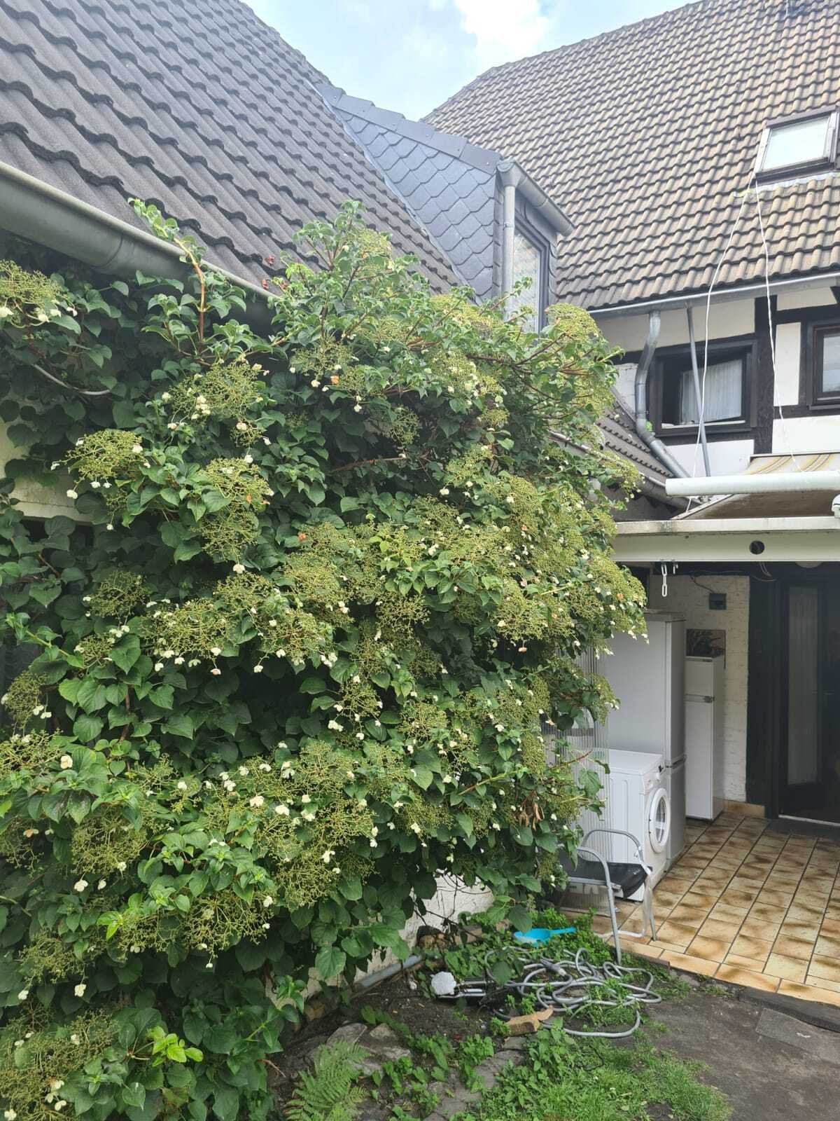 Mehrfamilienhaus mit Anbau in Datteln-Ahsen